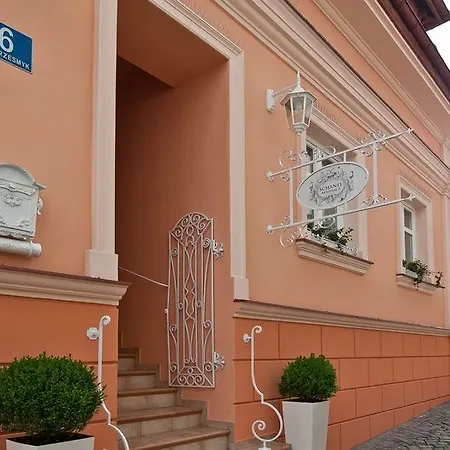 Hotel Ambasadorski